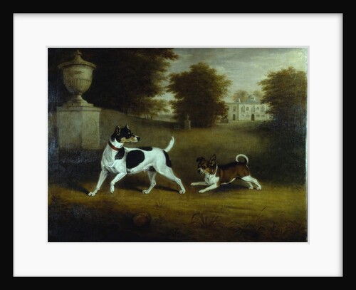 Betty Martin, a terrier, and 'Idol', a mongrel by Henry Bernard Chalon