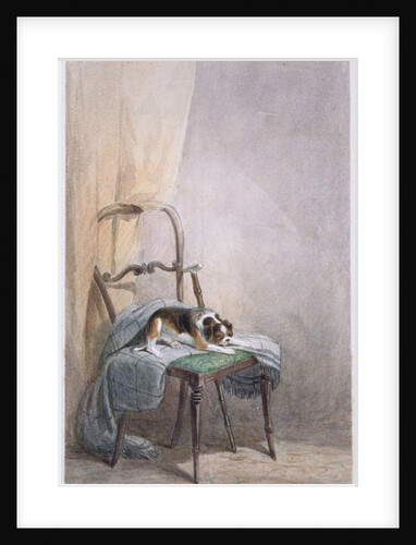 Study of a dog on a chair by William Henry Hunt