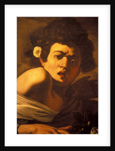 Boy bitten by a lizard, Caravaggio work of art, Palazzo Ducale, Genoa, Ligury, Italy by Anonymous