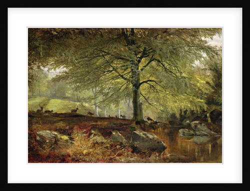 Deer in a Wood by Joseph Adam