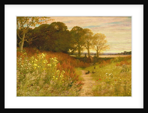 Landscape with Wild Flowers and Rabbits by Robert Collinson