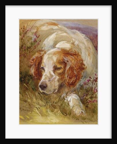 A Spaniel by James Jnr Hardy