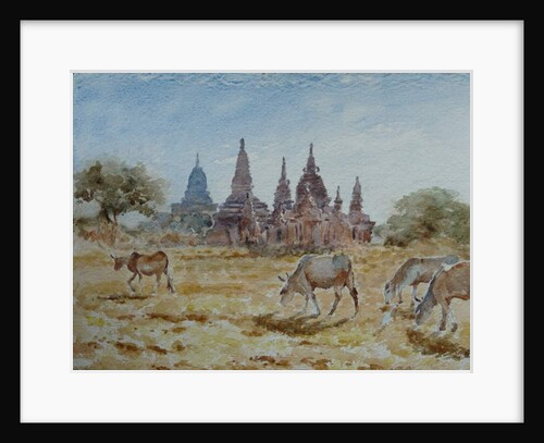900 From Laymyethna, Bagan by Clive Wilson