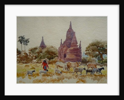 901 Bagan, herding among the temples by Clive Wilson