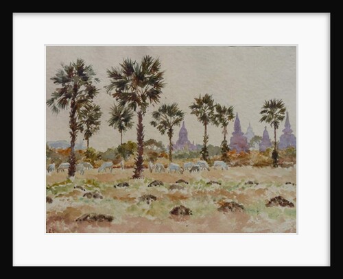 935 Blue cows and palmettos by Clive Wilson
