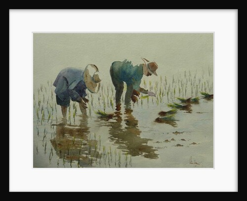 885 Planting rice by Clive Wilson