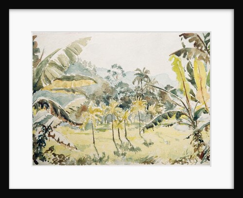 724 Paddy fields, Ramboda by Clive Wilson