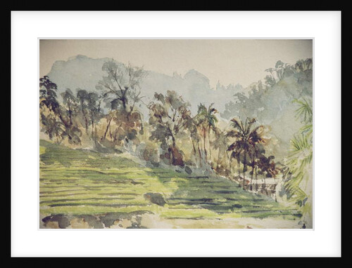 725 Stepped paddyfields, Ramboda by Clive Wilson