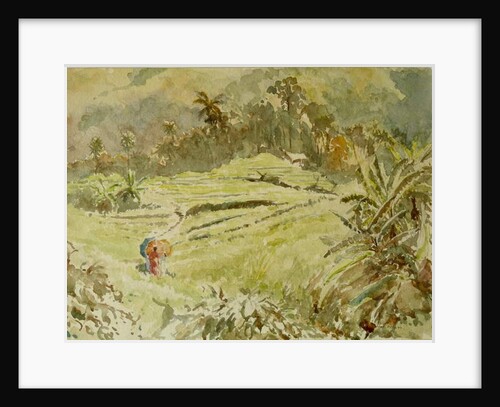 726 The 'short cut', Ramboda by Clive Wilson