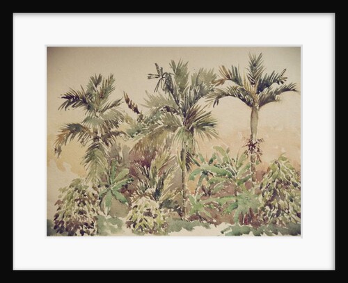 731 Pepper, bananas & areca nuts by Clive Wilson