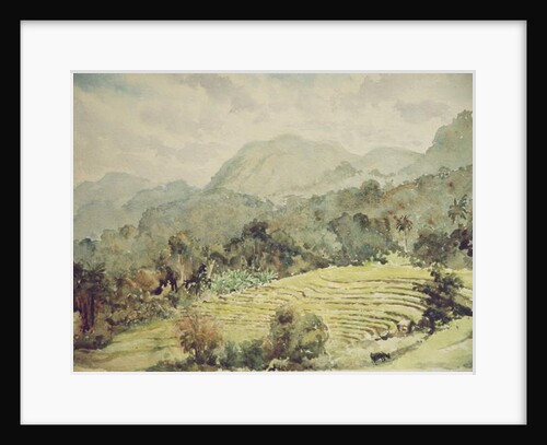 732 Elkaduwa, showers threatening by Clive Wilson