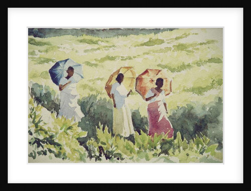 746 Sunshades, Ramboda by Clive Wilson