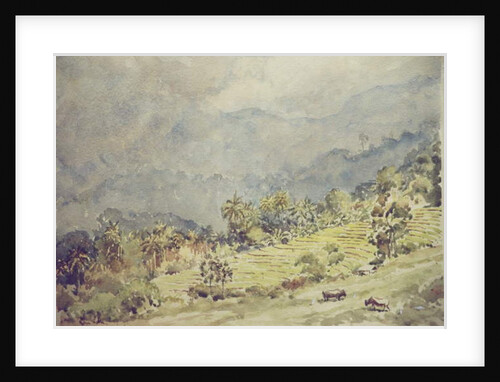 754 Elkaduwa, storm approaching by Clive Wilson