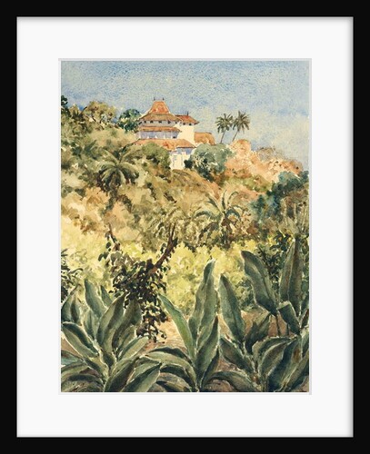 723 Lankatilaka from the pepper garden by Clive Wilson