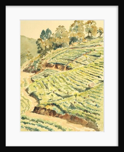 727 Tea pickers, Glenmore by Clive Wilson