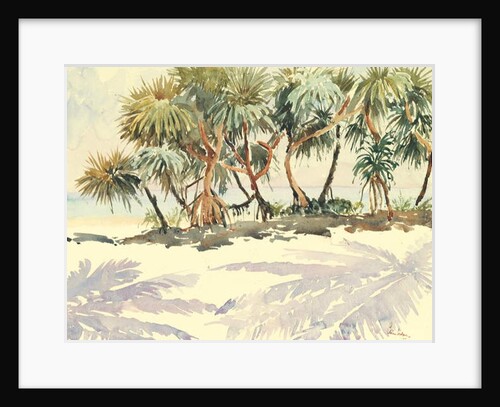735 Straw trees, Bentota by Clive Wilson