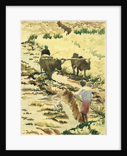 753 Preparing the paddy field by Clive Wilson