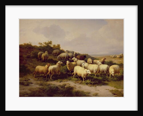 Sheep on the Coast, 1878 by Eugene Joseph Verboeckhoven