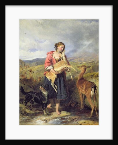 The Pet Fawn, 1860 by William Powell Frith