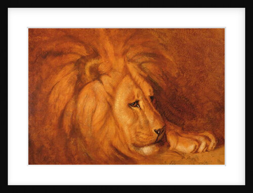 Lion at Rest by Abbott Handerson Thayer