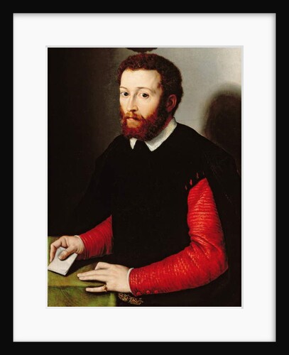 Portrait of a Man Holding a Letter, c.1530-40 by Francesco de Rossi Salviati Cecchino