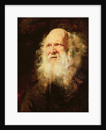 Study of Heads of an Old Man, c.1612 by Peter Paul Rubens
