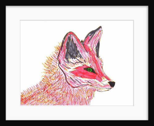 Fox by Daisy de Villeneuve