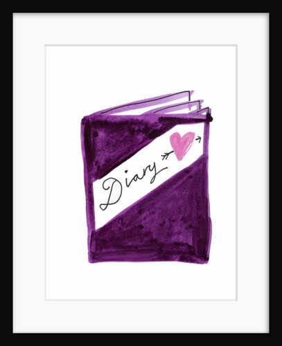 Diary by Daisy de Villeneuve