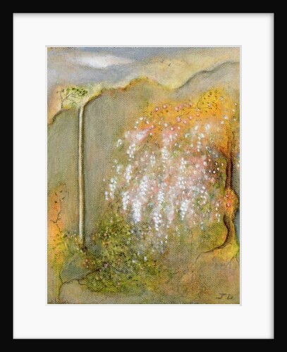 White Whisteria, 2001 by Jane Deakin