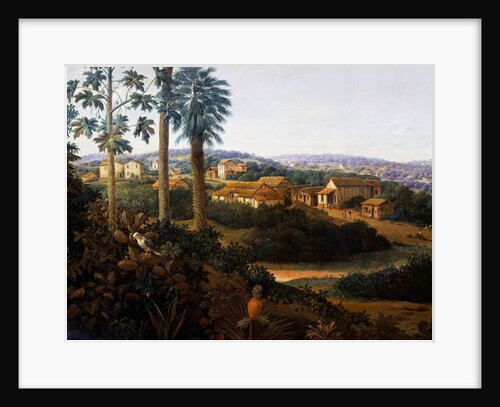 Serinhaem village in Brazil or The home of a sugar cane planter in Brazil by Frans Jansz Post