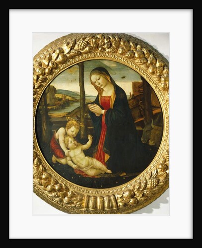 Madonna and Child with St. John by Master of the Miller Tondo