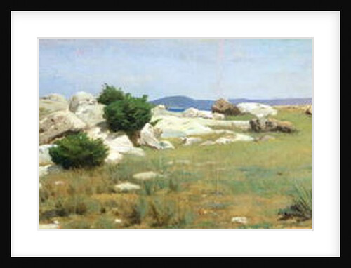 Cliff at Castiglioncello by Raffaello Sernesi