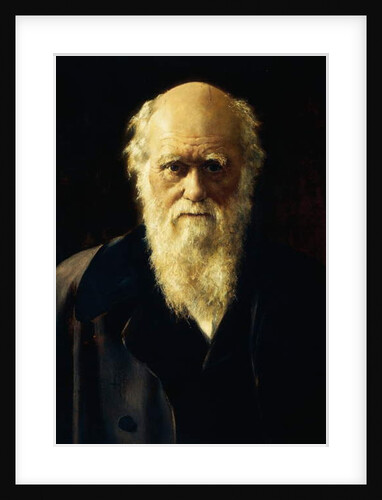 Portrait of Charles Darwin, 1883 by John Collier