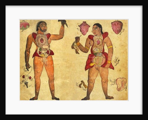 Anatomical illustration of a man and a Woman holding their own internal organs by Persian School