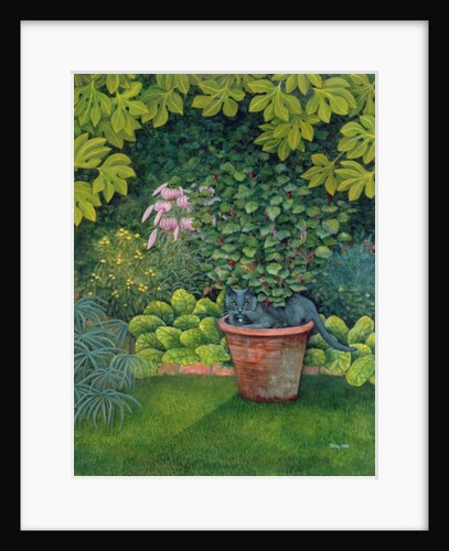 The Flower-Pot Cat by Ditz Ditz