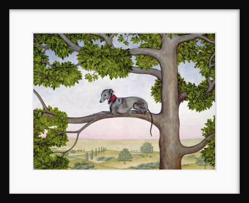 The Tree Whippet by Ditz Ditz