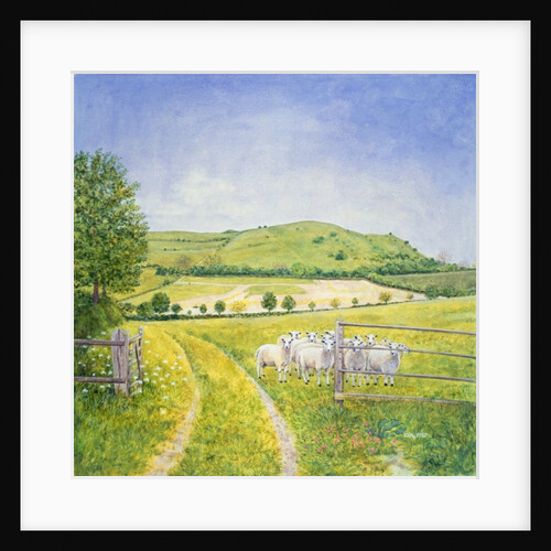 Wessex Sheep by Ditz Ditz
