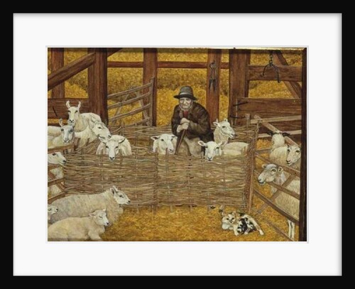 Barn-sheep by Ditz Ditz