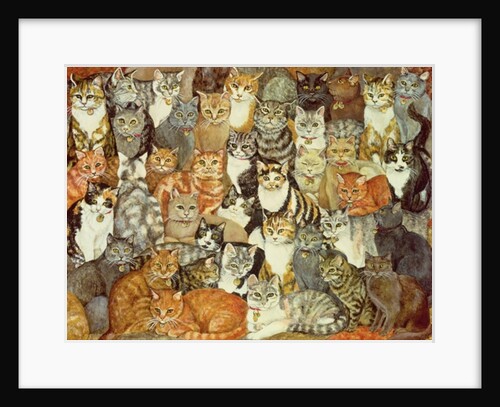 Cat-Spread by Ditz Ditz