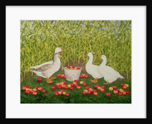 Sweetcorn-Geese by Ditz Ditz