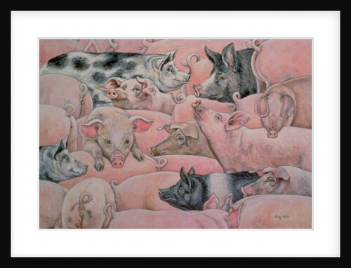 Pig-Spread by Ditz Ditz