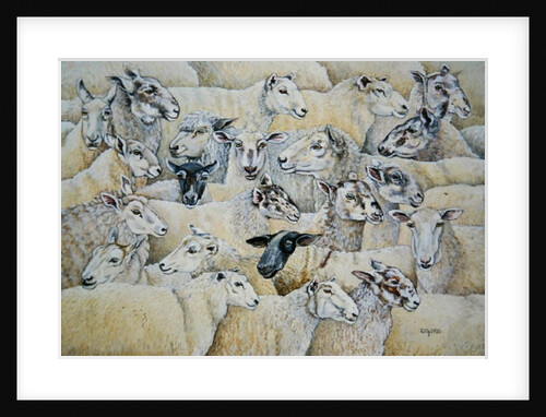Sheep-Blanket by Ditz Ditz