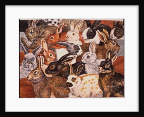 Rabbit-Spread by Ditz Ditz