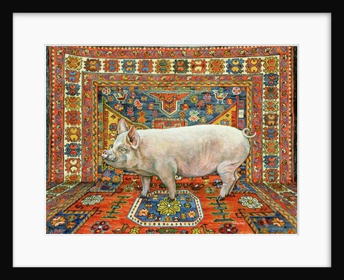 Singleton Carpet Pig by Ditz Ditz