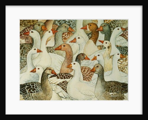 Patchwork Geese by Ditz Ditz