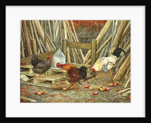 Chicken Feed by Ditz Ditz