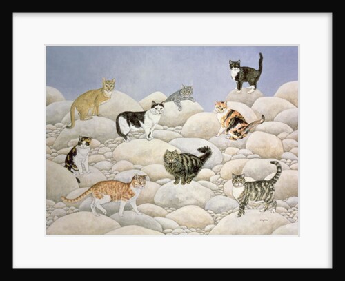 Lynn Valley Cats by Ditz Ditz