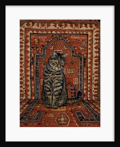 The Carpet-Cat by Ditz Ditz