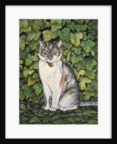 Ivy by Ditz Ditz