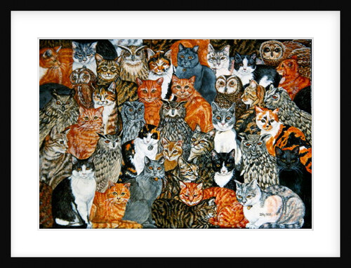 The Owls and the Pussycats by Ditz Ditz